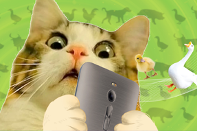 FRIDAY专栏 | 被憋疯的职场人，养起了猪牛羊鱼鸟...